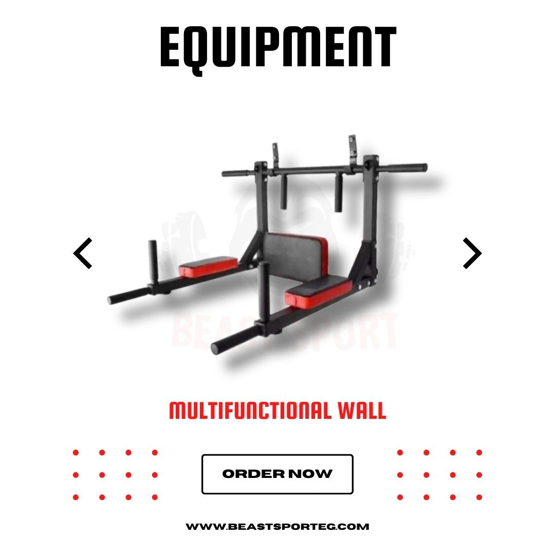 Multifunctional Wall Pull UP